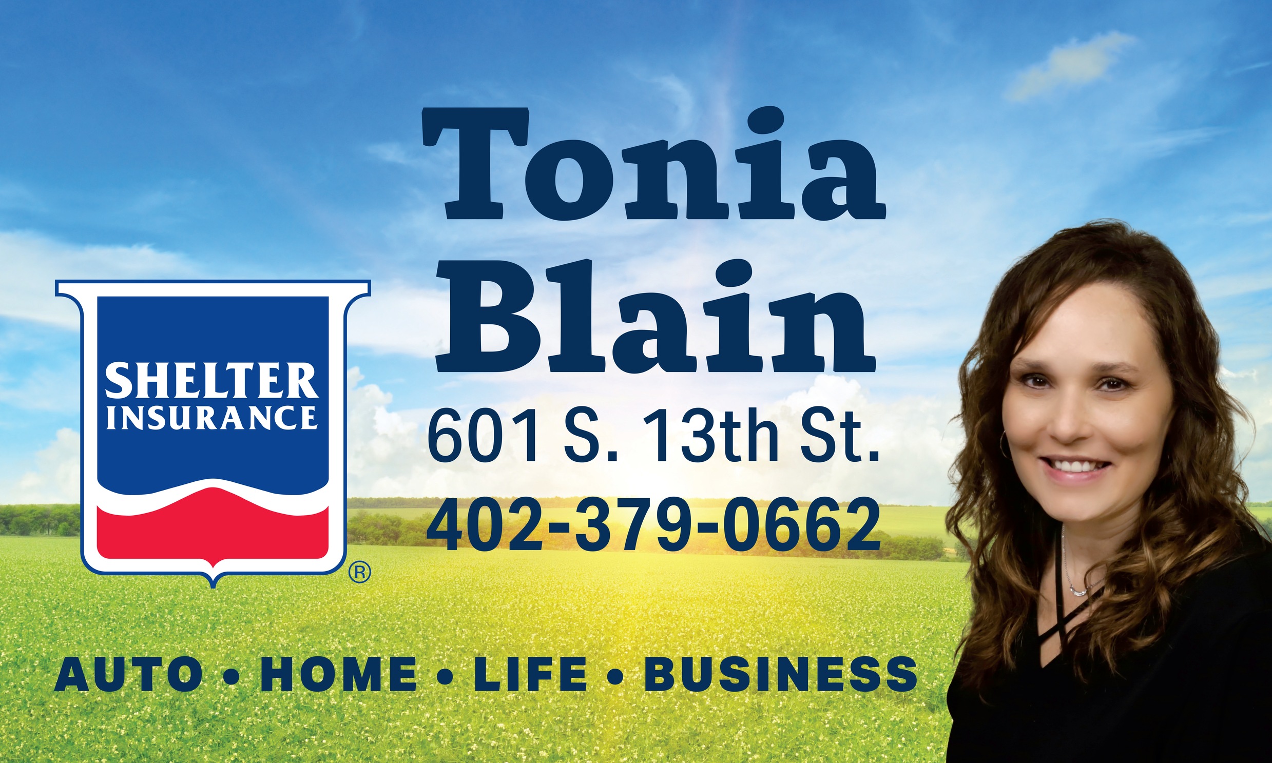 https://www.shelterinsurance.com/CA/agent/TONIABLAIN